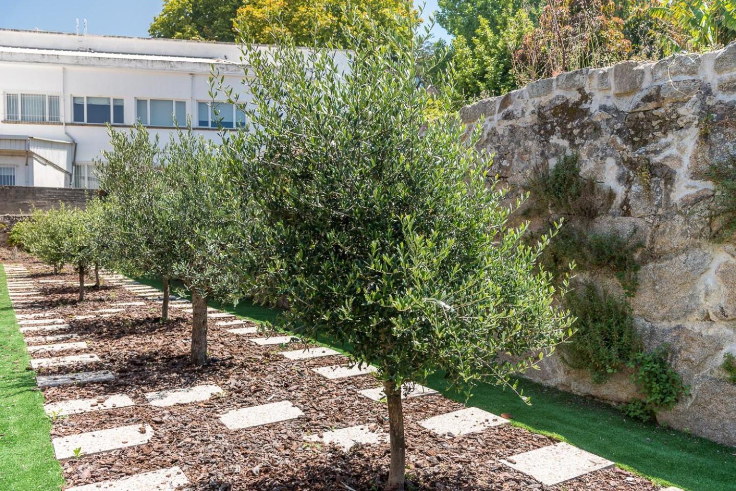 Guestready - Jardim Das Oliveiras Guesthouse - 2 Porto Exterior foto